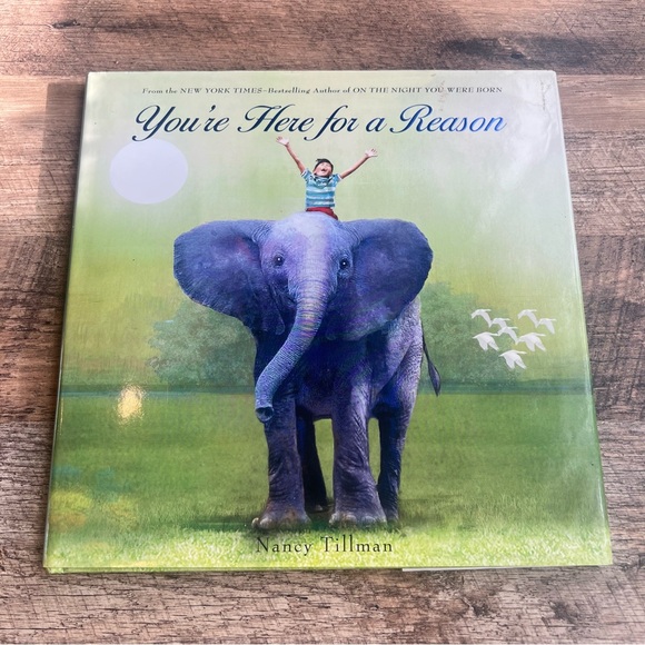 You're Here for a Reason MME Board Children's Book by Nancy Tillman - Picture 2 of 4
